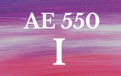 AE550 Intensive ESSAY I 4w