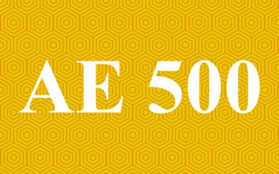 AE500  Speech/ Advanced Interpersonal Skills 4w