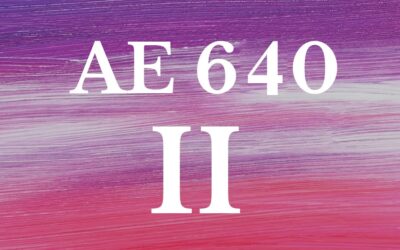 AE640 Intensive ESSAY II – 4s